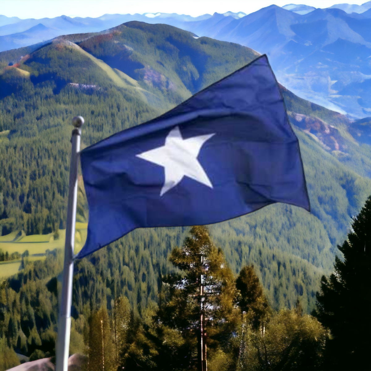 Bonnie Blue Premium Sewn Outdoor Flag