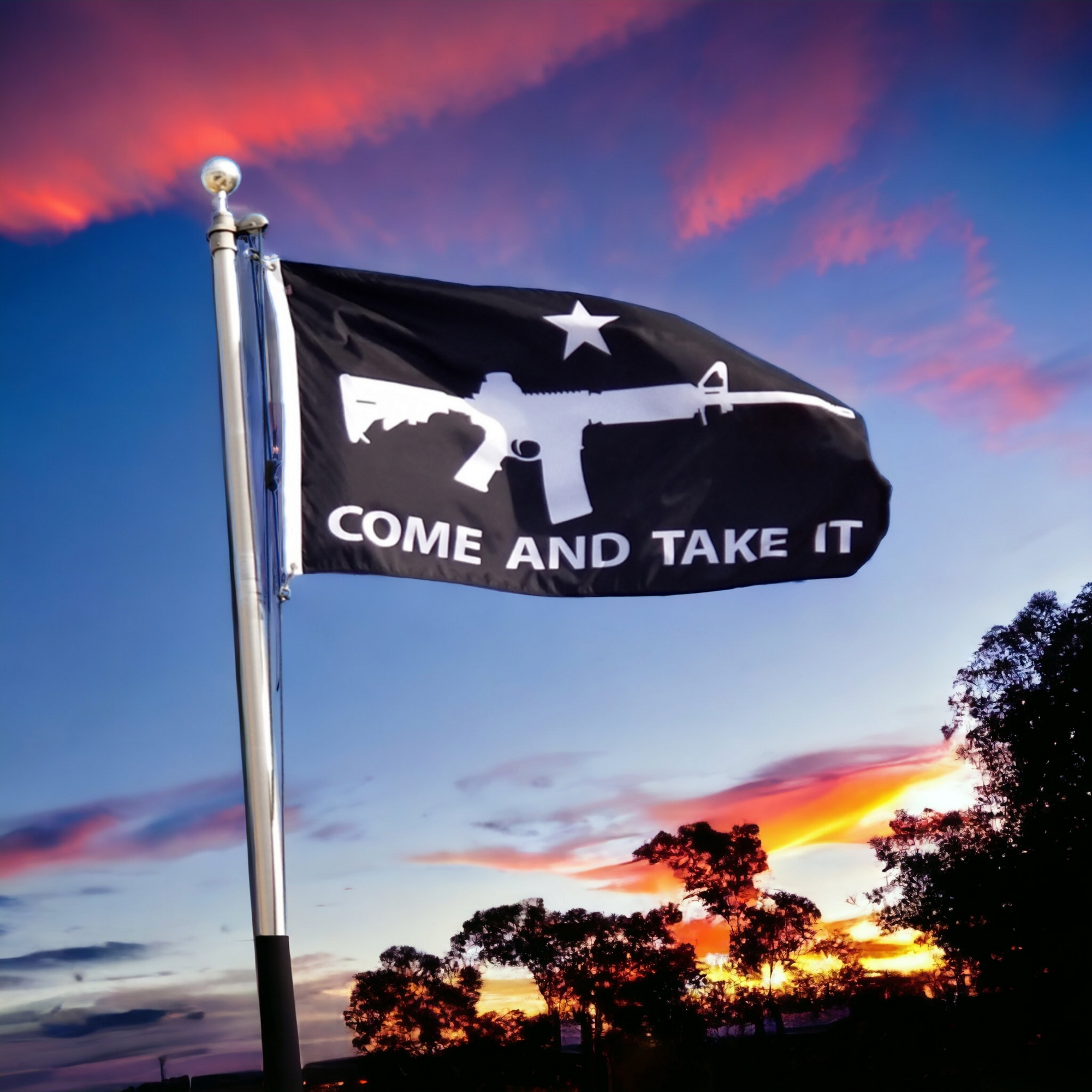 Come and Take It Flag - Black
