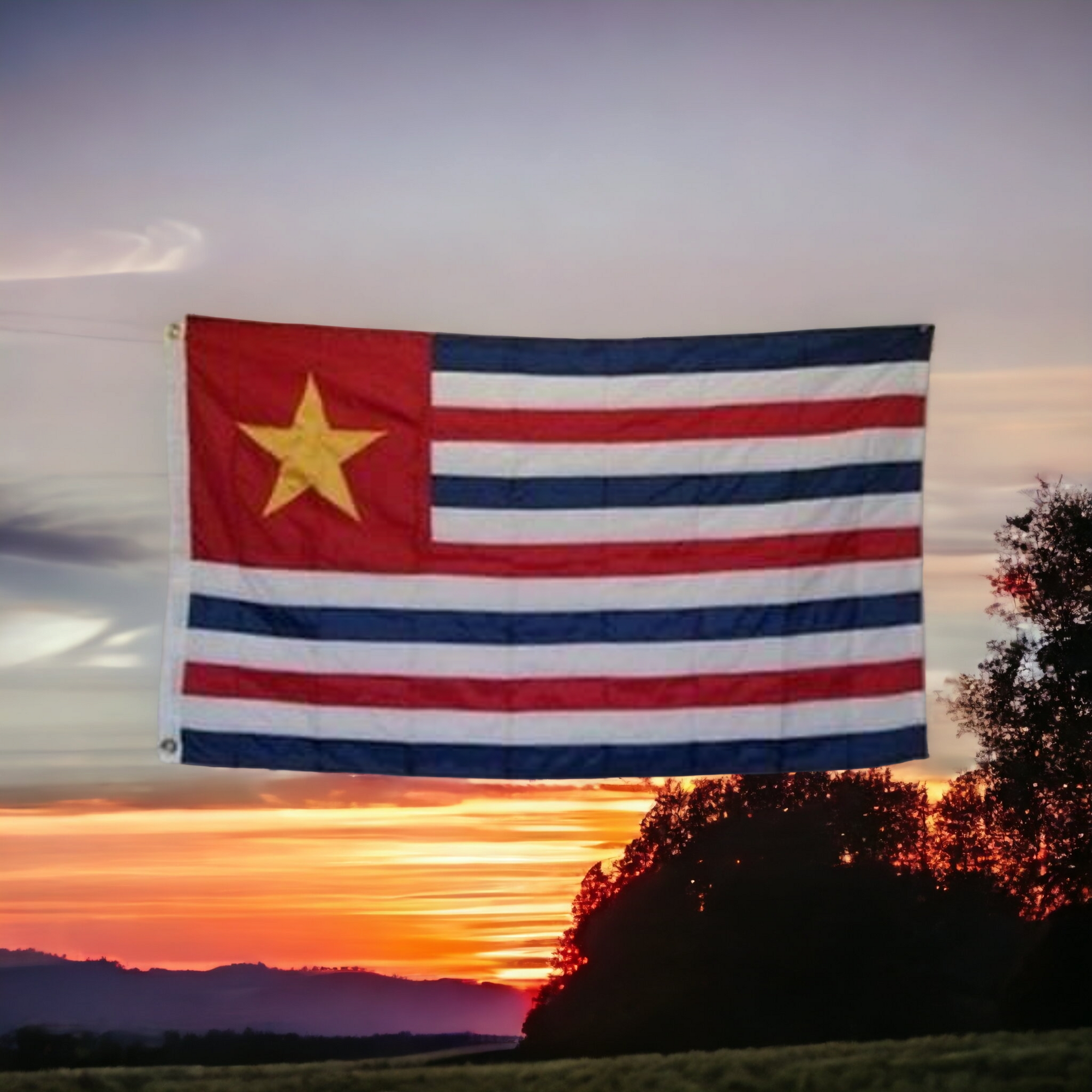 Louisiana Republic Flag