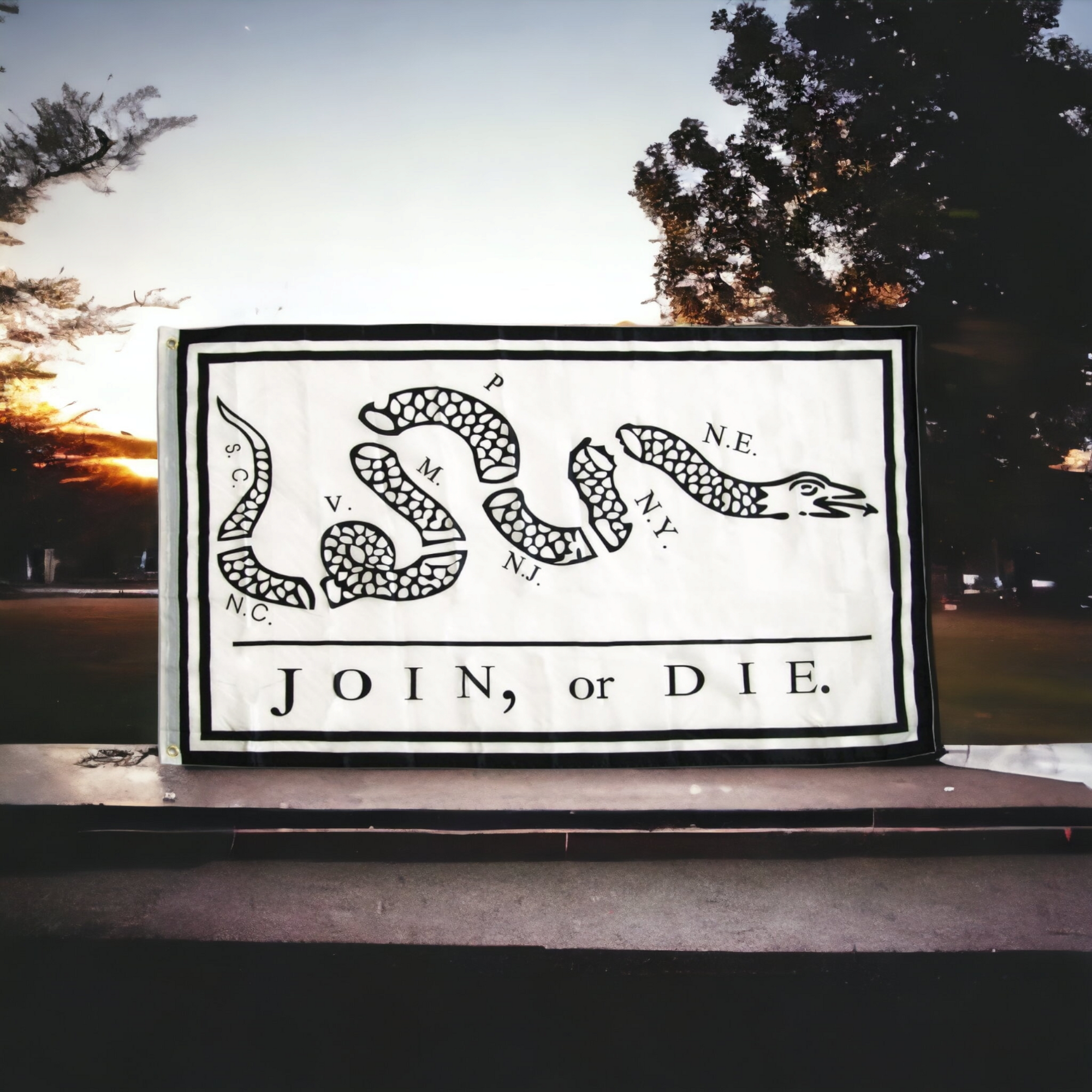 Join Or Die Flag (White)