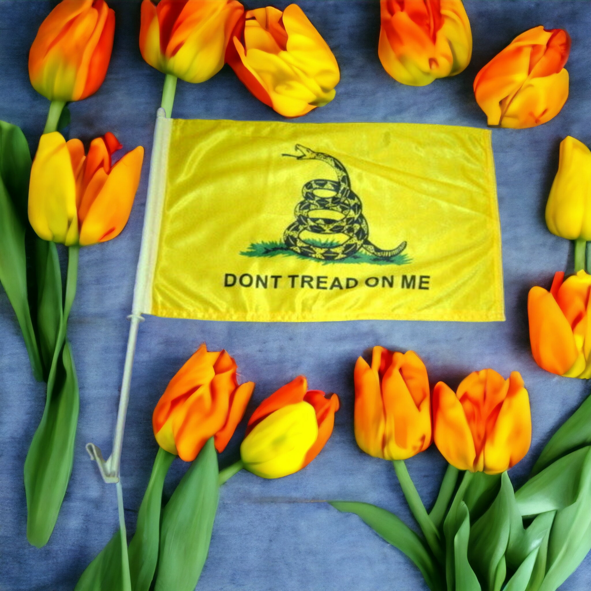 Don't Tread On Me Window Flag