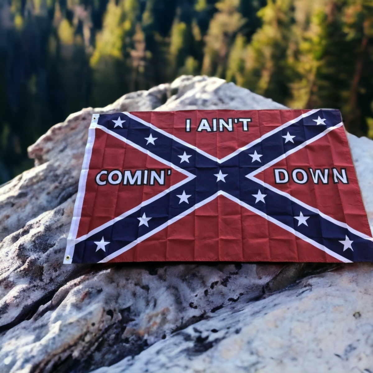 I Ain't Coming Down Flag