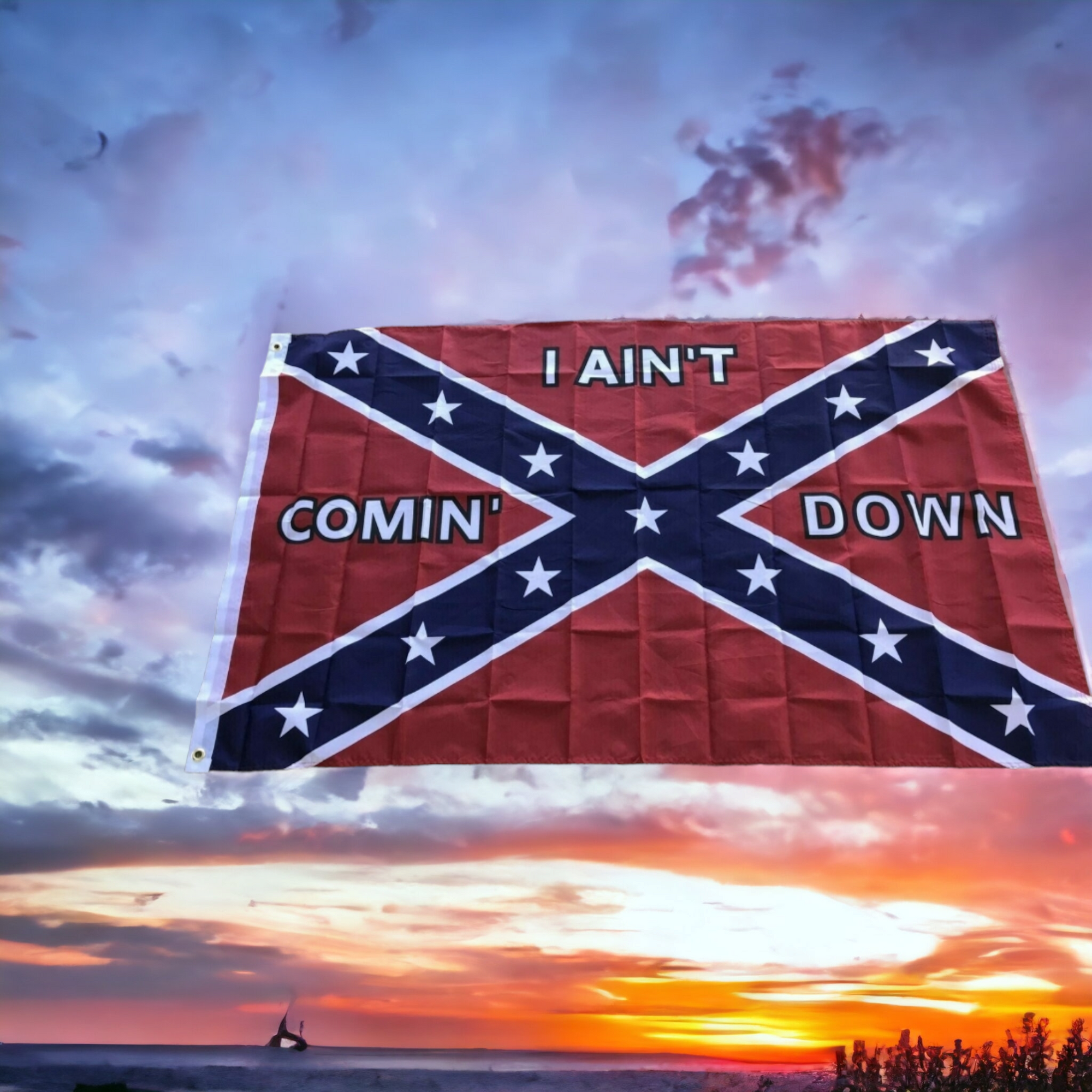 I Ain't Coming Down Flag