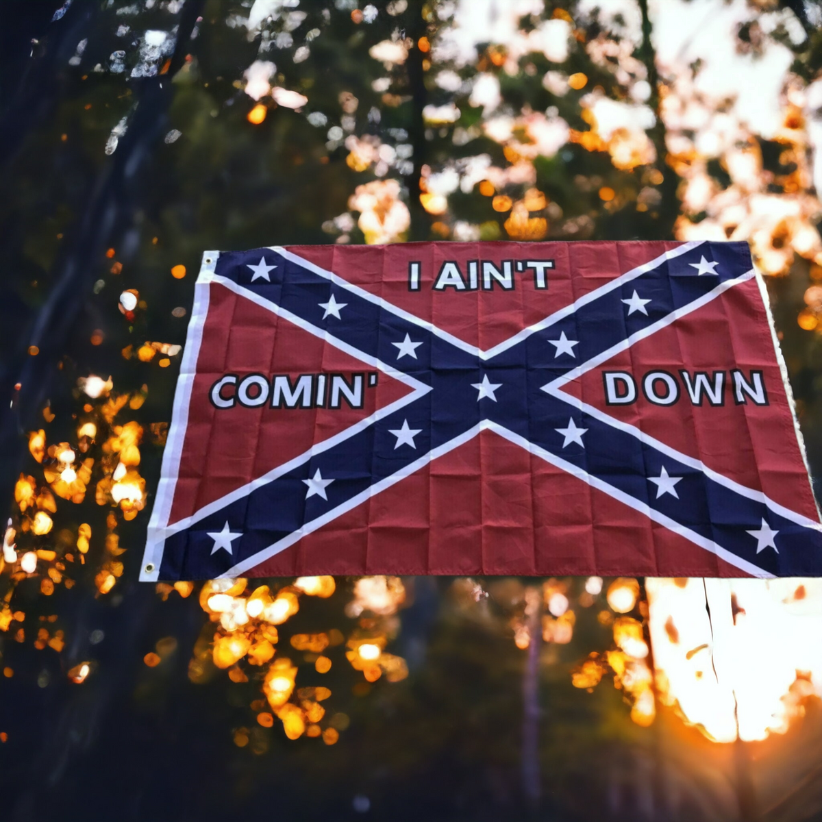 I Ain't Coming Down Flag