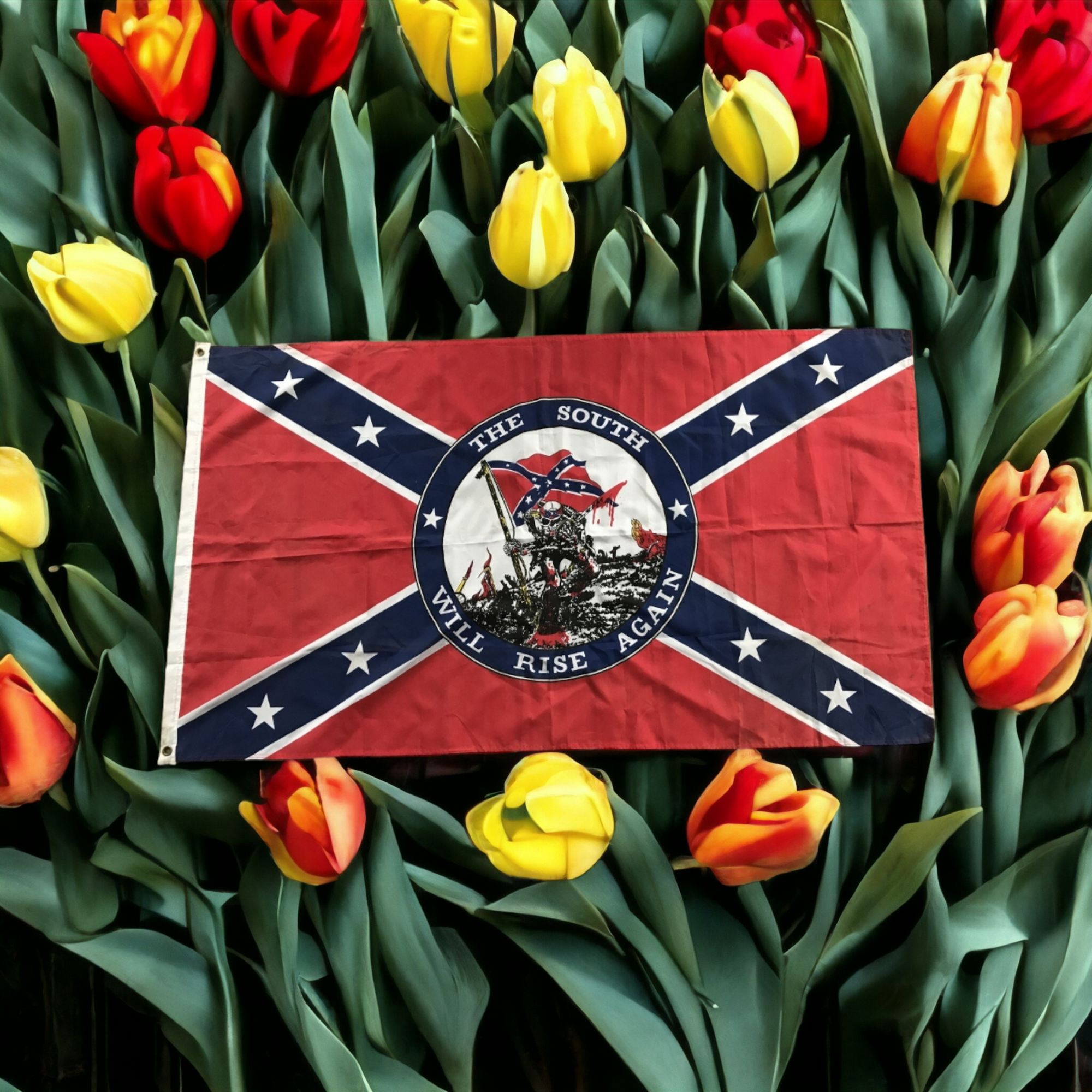 The South Will Rise Again Flag